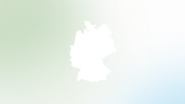 Alt-Text